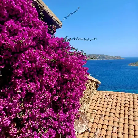Punta Est - Trilo Agave Family Vista Mare Διαμέρισμα Capo Coda Cavallo